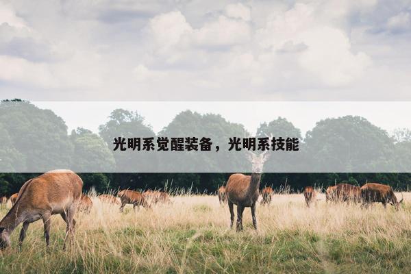 光明系觉醒装备，光明系技能
