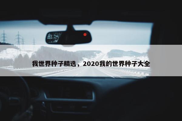 我世界种子精选，2020我的世界种子大全