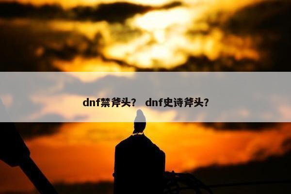 dnf禁斧头？ dnf史诗斧头？