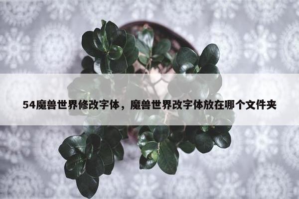 54魔兽世界修改字体，魔兽世界改字体放在哪个文件夹