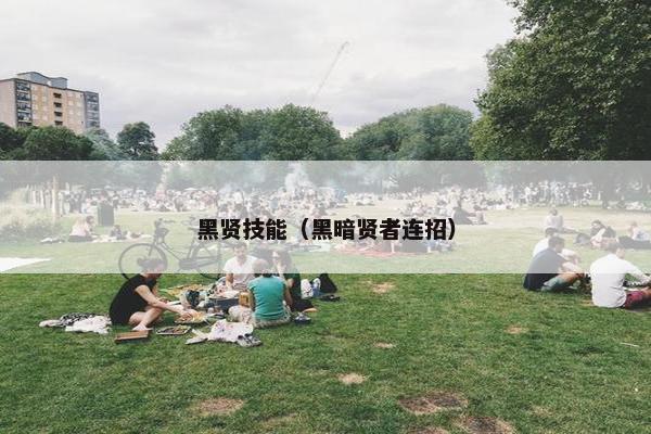 黑贤技能（黑暗贤者连招）