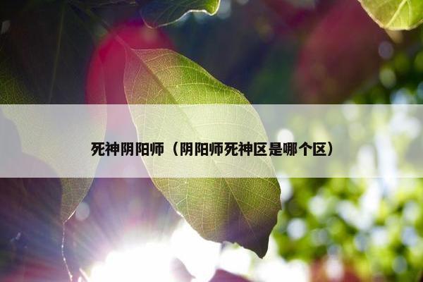 死神阴阳师（阴阳师死神区是哪个区）