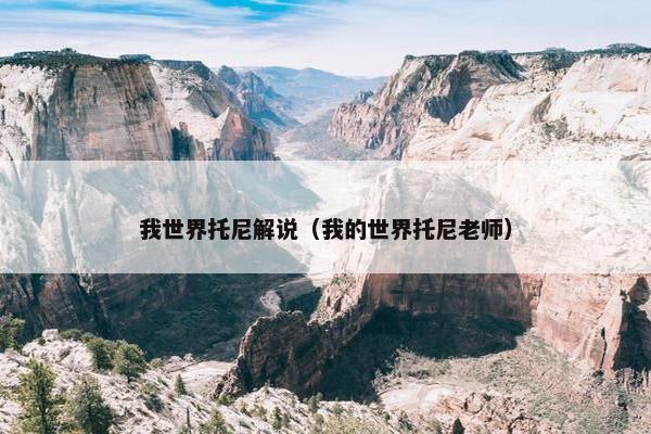 我世界托尼解说（我的世界托尼老师）
