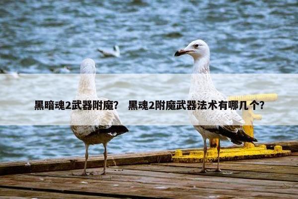 黑暗魂2武器附魔？ 黑魂2附魔武器法术有哪几个？