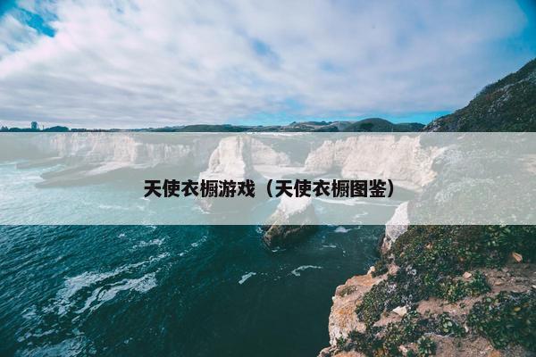 天使衣橱游戏（天使衣橱图鉴）