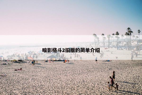 暗影格斗2旧版的简单介绍