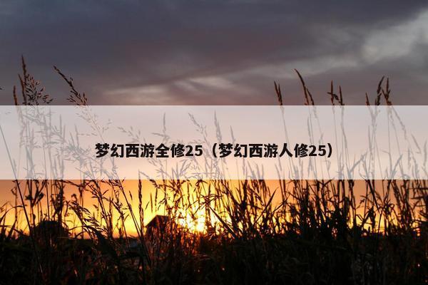 梦幻西游全修25（梦幻西游人修25）