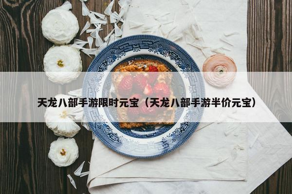 天龙八部手游限时元宝（天龙八部手游半价元宝）
