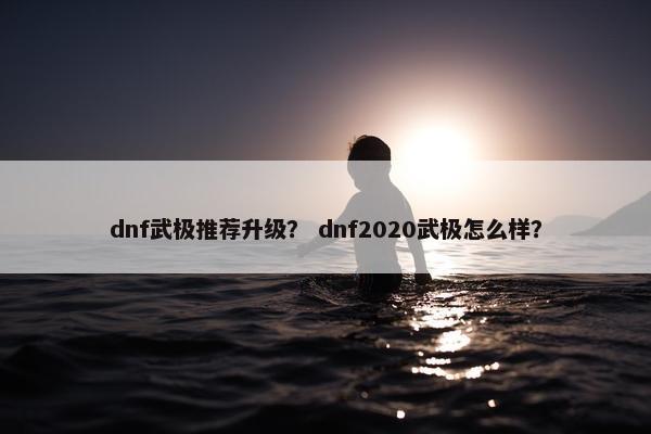 dnf武极推荐升级？ dnf2020武极怎么样？