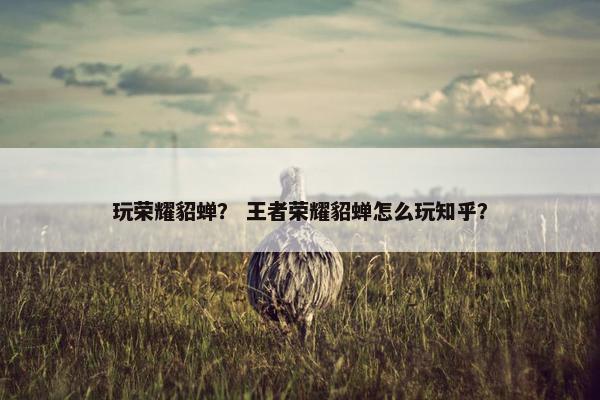 玩荣耀貂蝉？ 王者荣耀貂蝉怎么玩知乎？