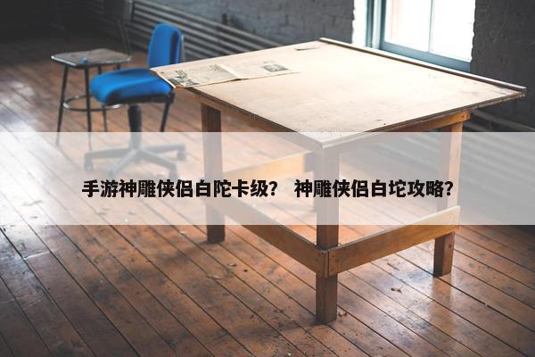 手游神雕侠侣白陀卡级？ 神雕侠侣白坨攻略？