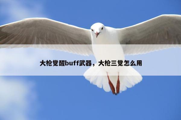 大枪觉醒buff武器，大枪三觉怎么用