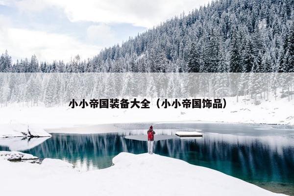 小小帝国装备大全（小小帝国饰品）