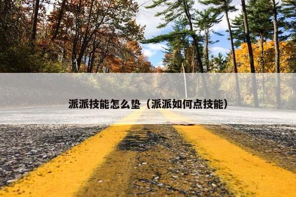 派派技能怎么垫（派派如何点技能）