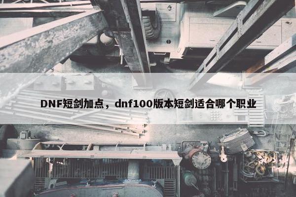 DNF短剑加点，dnf100版本短剑适合哪个职业
