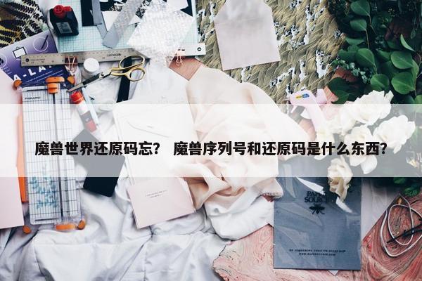 魔兽世界还原码忘？ 魔兽序列号和还原码是什么东西？