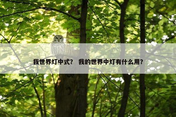 我世界灯中式？ 我的世界中灯有什么用？