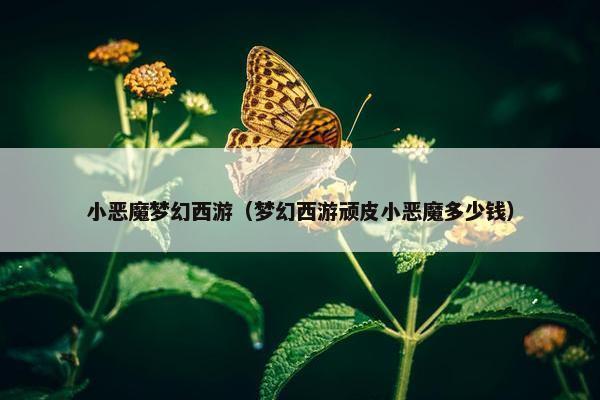 小恶魔梦幻西游（梦幻西游顽皮小恶魔多少钱）