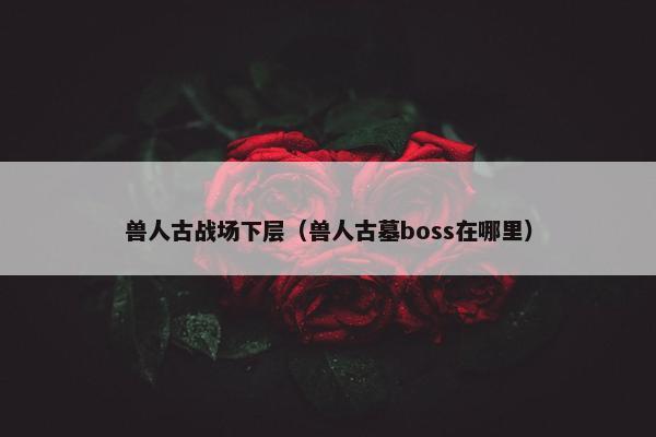 兽人古战场下层（兽人古墓boss在哪里）