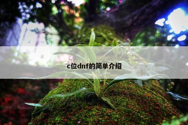 c位dnf的简单介绍