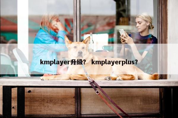 kmplayer升级？ kmplayerplus？