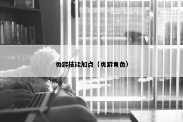 页游技能加点（页游角色）