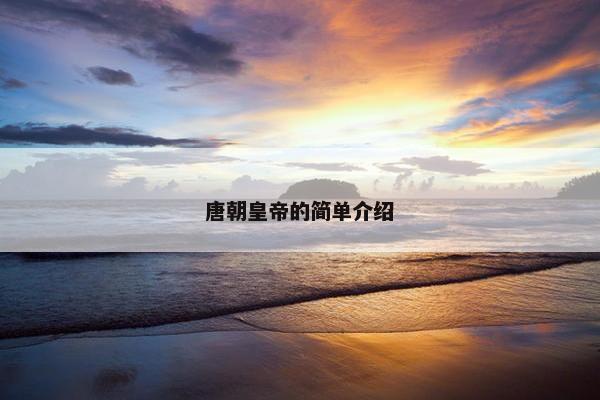 唐朝皇帝的简单介绍