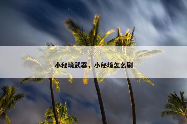 小秘境武器，小秘境怎么刷