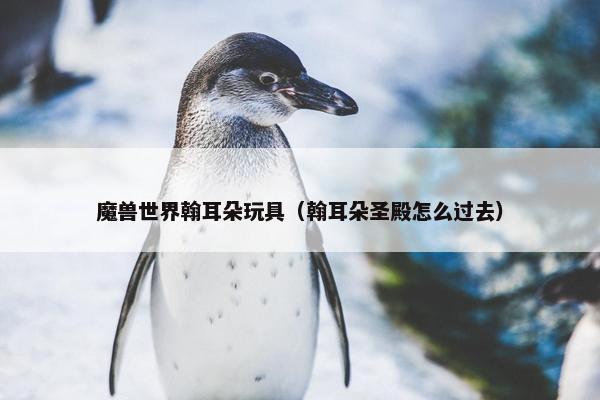 魔兽世界翰耳朵玩具（翰耳朵圣殿怎么过去）