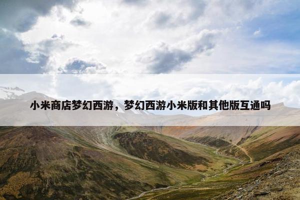 小米商店梦幻西游，梦幻西游小米版和其他版互通吗