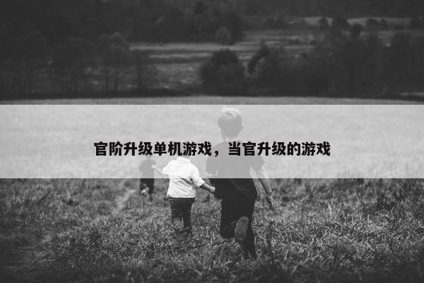 官阶升级单机游戏，当官升级的游戏