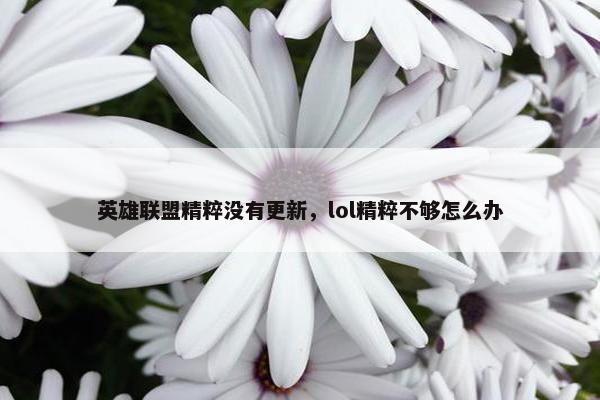 英雄联盟精粹没有更新，lol精粹不够怎么办