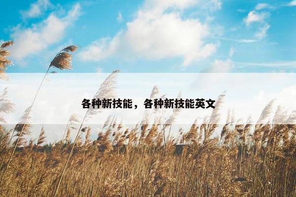 各种新技能，各种新技能英文