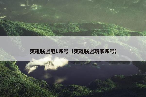 英雄联盟电1账号（英雄联盟玩家账号）