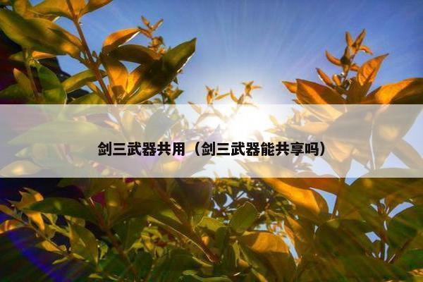 剑三武器共用（剑三武器能共享吗）