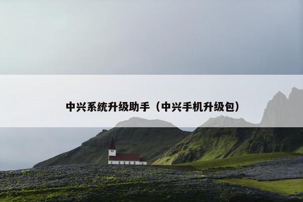 中兴系统升级助手（中兴手机升级包）