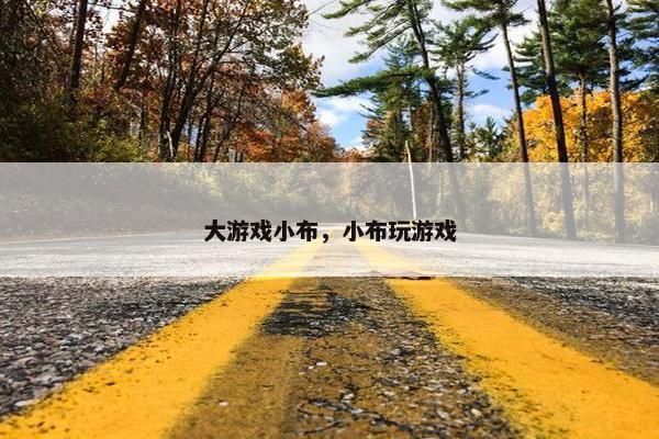 大游戏小布，小布玩游戏