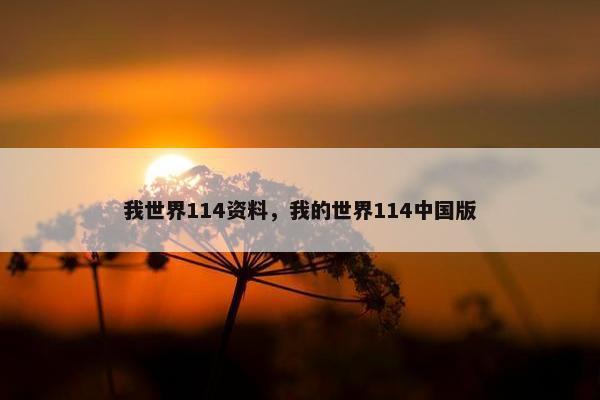 我世界114资料，我的世界114中国版