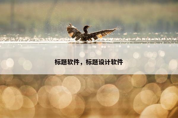 标题软件，标题设计软件
