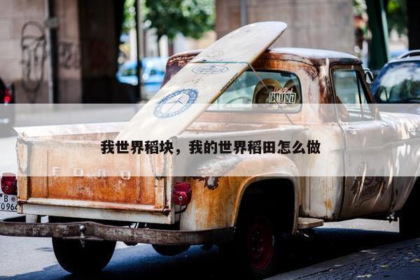 我世界稻块，我的世界稻田怎么做