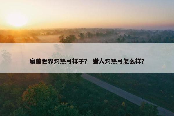魔兽世界灼热弓样子？ 猎人灼热弓怎么样？