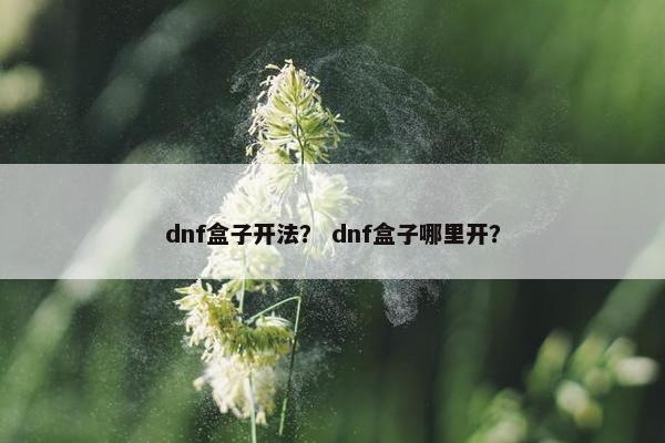 dnf盒子开法？ dnf盒子哪里开？