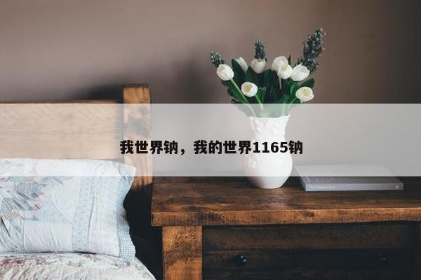 我世界钠，我的世界1165钠