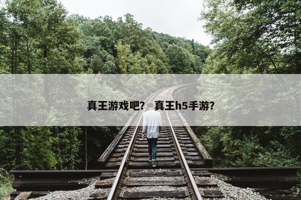真王游戏吧？ 真王h5手游？