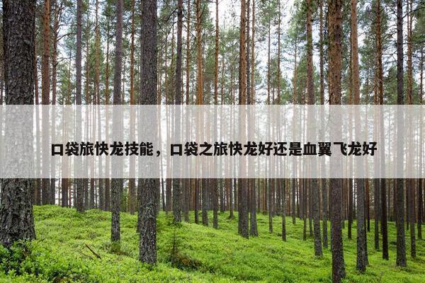 口袋旅快龙技能，口袋之旅快龙好还是血翼飞龙好