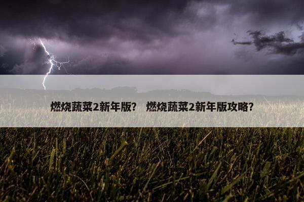 燃烧蔬菜2新年版？ 燃烧蔬菜2新年版攻略？