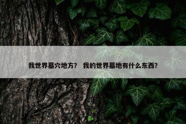 我世界墓穴地方？ 我的世界墓地有什么东西？