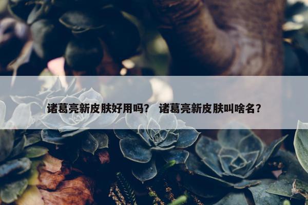 诸葛亮新皮肤好用吗？ 诸葛亮新皮肤叫啥名？