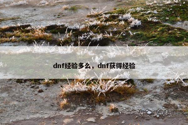 dnf经验多么，dnf获得经验
