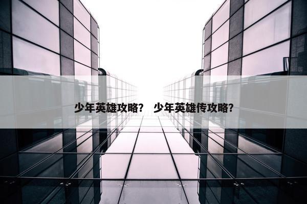 少年英雄攻略？ 少年英雄传攻略？